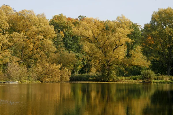 在秋天与水中倒影、 georgsmarienhuette、 萨克森、 蒙古包池塘 — 图库照片