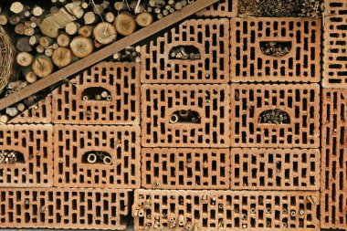 NIST yardım Almanya'da vahşi arılar için