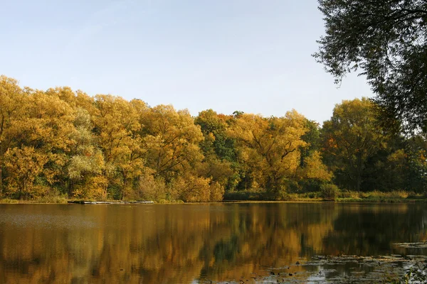 Pond in autumn, Georgsmarienhuette, Lower Saxony, Germany, Europe — Stock Photo, Image