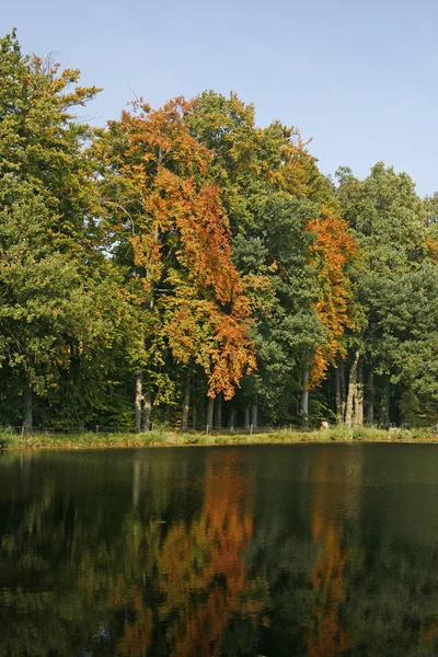 Tó, őszi, georgsmarienhuette, Németország — Stock Fotó