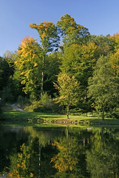 Parco con laghetto - riflessione sull'acqua in autunno, Bad Iburg, Germania — Foto Stock