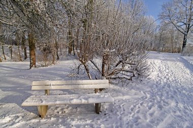 Bench in winter in the spa garden in Bad Laer, Germany clipart