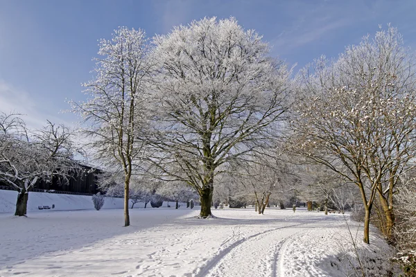 冬 - 悪い rothenfelde、osnabruecker の土地、ドイツのスパ公園 — ストック写真