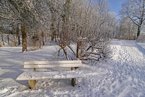 Bench in winter in the spa garden in Bad Laer, Germany — Stock Photo, Image