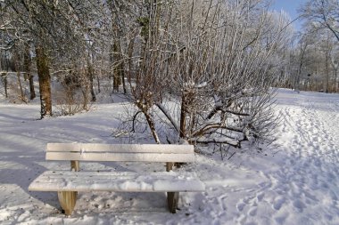 bad laer, Aşağı Saksonya, Almanya spa bahçesinde kış tezgah