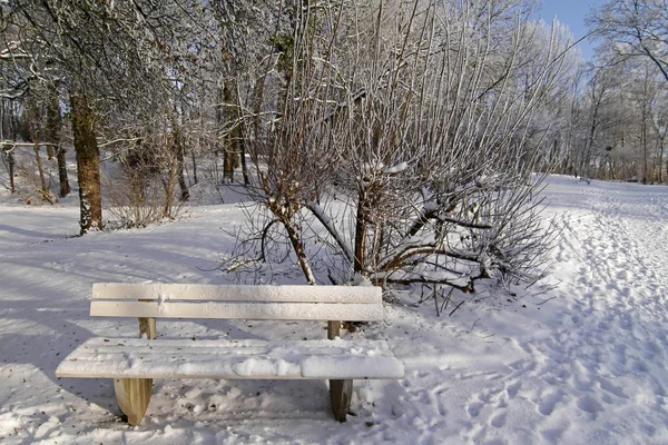 Bench in winter in the spa garden in Bad Laer, Lower Saxony, Germany — Stock Photo, Image