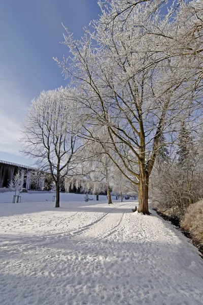Spa park in winter - Bad Rothenfelde, Osnabruecker Land, Alemanha — Fotografia de Stock