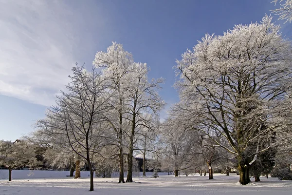 Spa park in winter - Bad Rothenfelde, Germany — Stock Photo, Image