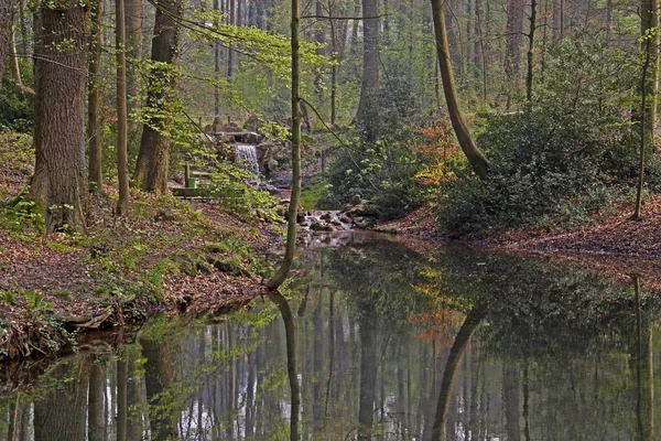 Paisaje de estanque con madera caduca en primavera, Casinopark en Alemania —  Fotos de Stock