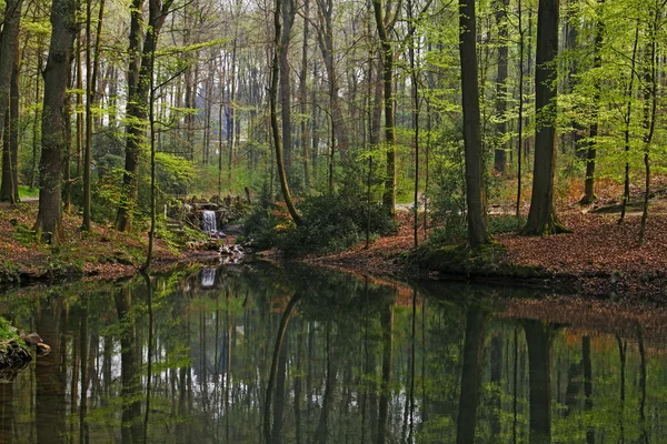 Pond landscape with deciduous wood in spring, Casinopark in Germany — Stock Photo, Image