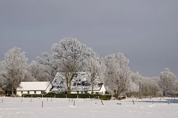 Farm in winter in Bad Rothenfelde, Osnabruecker land, Lower Saxony, Germany — Stock Photo, Image