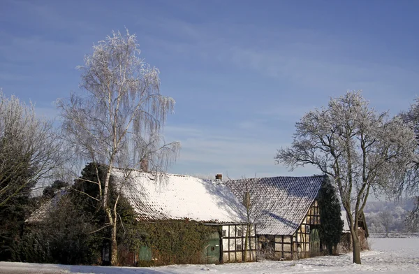 Granja en invierno en Hilter-Hankenberge, tierra de Osnabruecker, Alemania — Foto de Stock