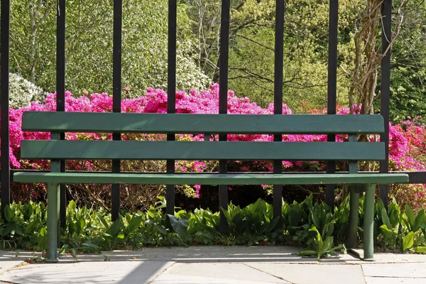 stock image Bank in the greenery in spring, Germany, Europe