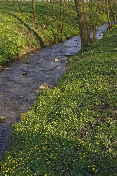 Pequeno riacho em Bad Iburg, Baixa Saxônia, Alemanha — Fotografia de Stock