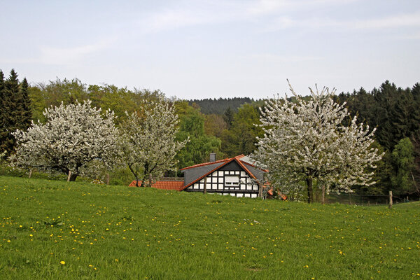 Spring landscape with half-timbered house, Germany
