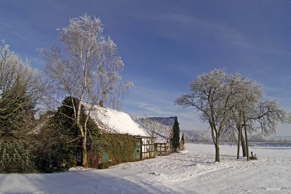 낮은 색 소니, 독일 겨울 농장 — 스톡 사진