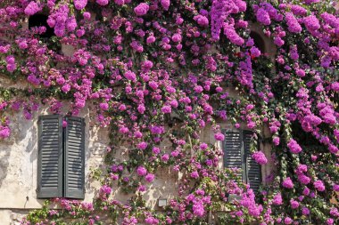 Sirmione, house with paper flower, Italy, Europe clipart