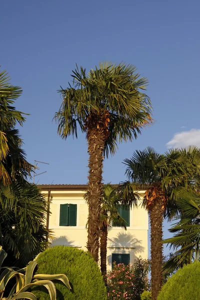 Лацизе, дом с пальмами, озеро Гарда, Италия, Европа — стоковое фото