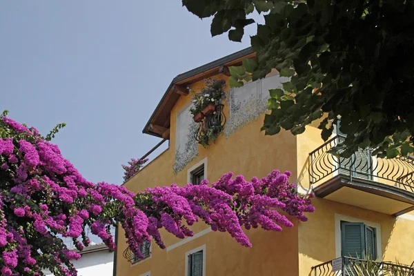 Sirmione, hus med papper blomma, Italien, Europa — Stockfoto