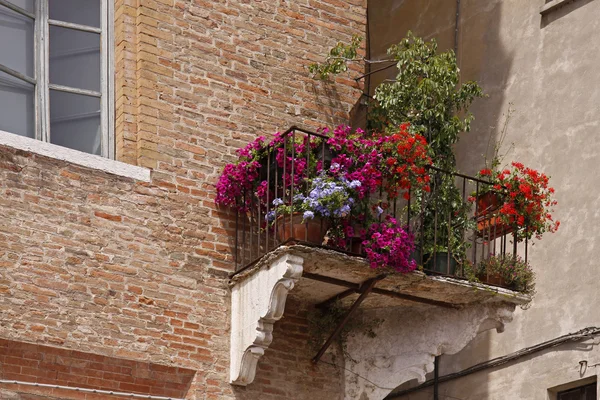 Mantua, gamla stan bygga balkong med blommor, Italien — Stockfoto