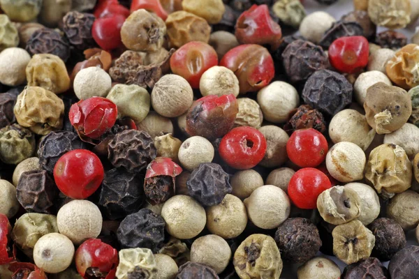 stock image Red, black and white Pepper corns (Piper nigrum)