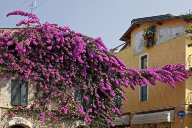 Sirmione, Begonvil, İtalya ile ev