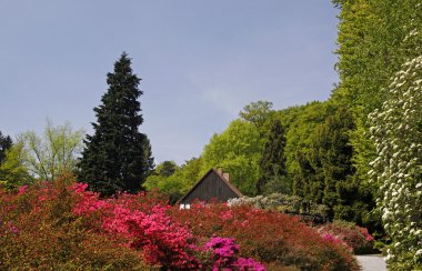Botanical garden in Bielefeld, Germany clipart
