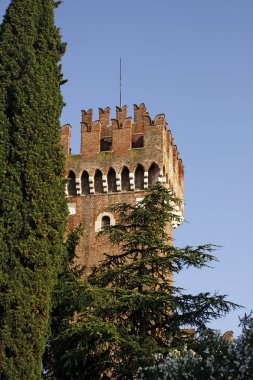 Lazise, scaliger Kalesi, lake garda, İtalya