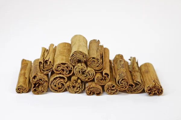Kanelitangot, kanelitanko (Cinnamonum) ) — kuvapankkivalokuva