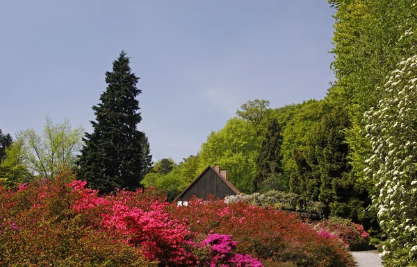 Ogród botaniczny w bielefeld, Niemcy — Zdjęcie stockowe
