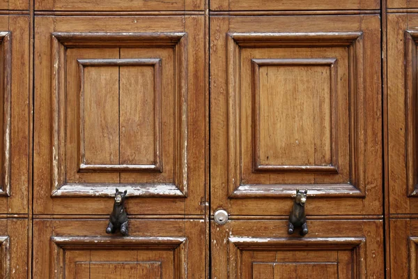 Door detail in Verona, Veneto, Italy, Europe — Stock Photo, Image