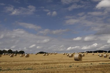 Round baler, straw bale in Lower Saxony, Germany clipart