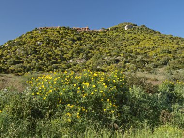 View of the village Costa Rei, Sardinia, Italy clipart