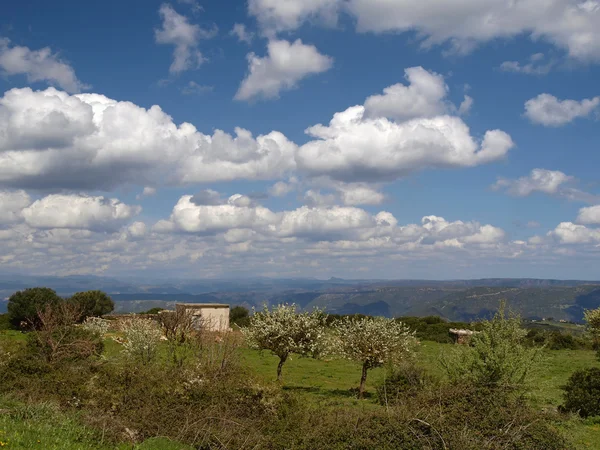 Landschaft in der Nähe von Armungia im Südosten Sardiniens — Stockfoto