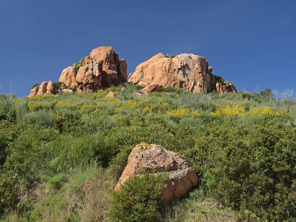 Felsenlandschaft mit Ginstersträuchern bei Arbatax, Sardinen — Stockfoto
