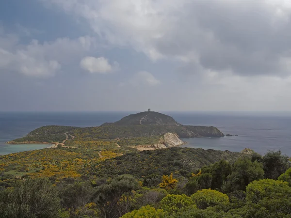 撒丁岛，costa del sud，意大利 — 图库照片