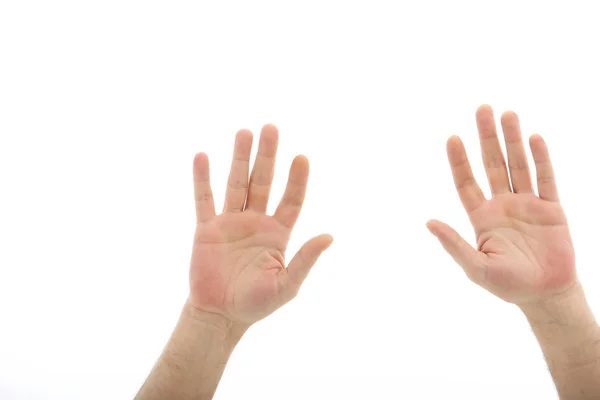Insan elinin üzerine beyaz izole — Stok fotoğraf