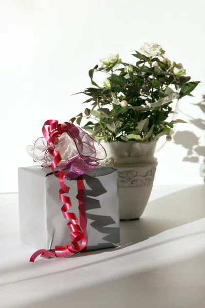 Vrij gewikkeld geschenk met rozen in de achtergrond — Stockfoto