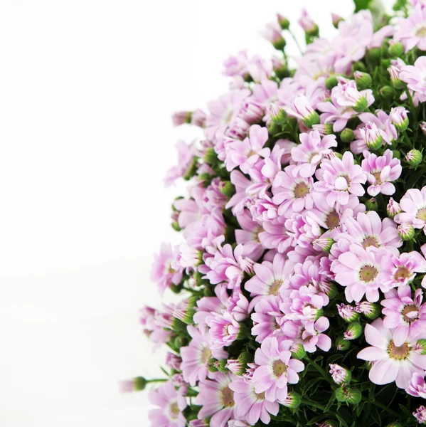 Букет розовых цветов — стоковое фото