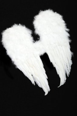 angel wings çifti