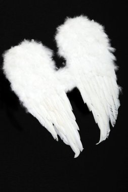 Pair of angel wings clipart