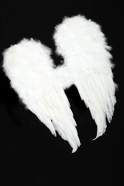 stock image Pair of angel wings