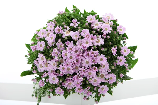 Довольно свежий цветочный букет — стоковое фото