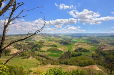 piedmont tepelerinde. Kuzey İtalya.