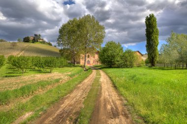 ruras sahne. Piedmont, İtalya.