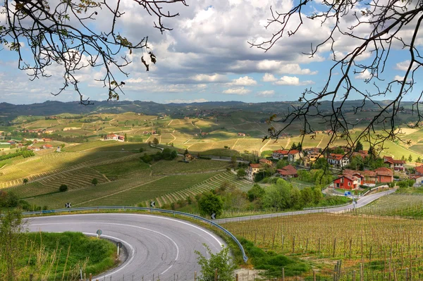 Kopce Piemont. severní Itálie. — Stock fotografie