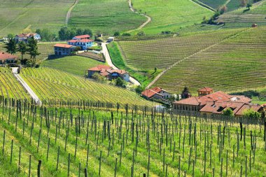 Hills of Piedmont. Northern Italy. clipart