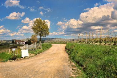 bulutlu gökyüzü altında kırsal yolu. Piedmont, İtalya.