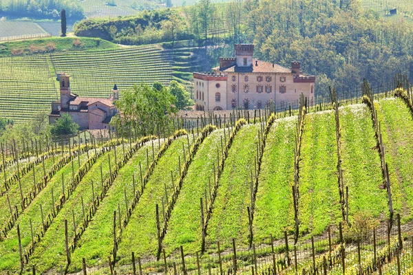 Vinice a hrad barolo. Piemont, Itálie. — Stock fotografie