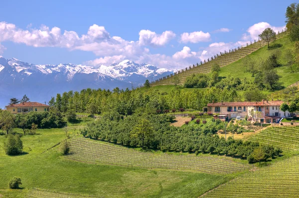 Hügel des Piemont. Norditalien. — Stockfoto
